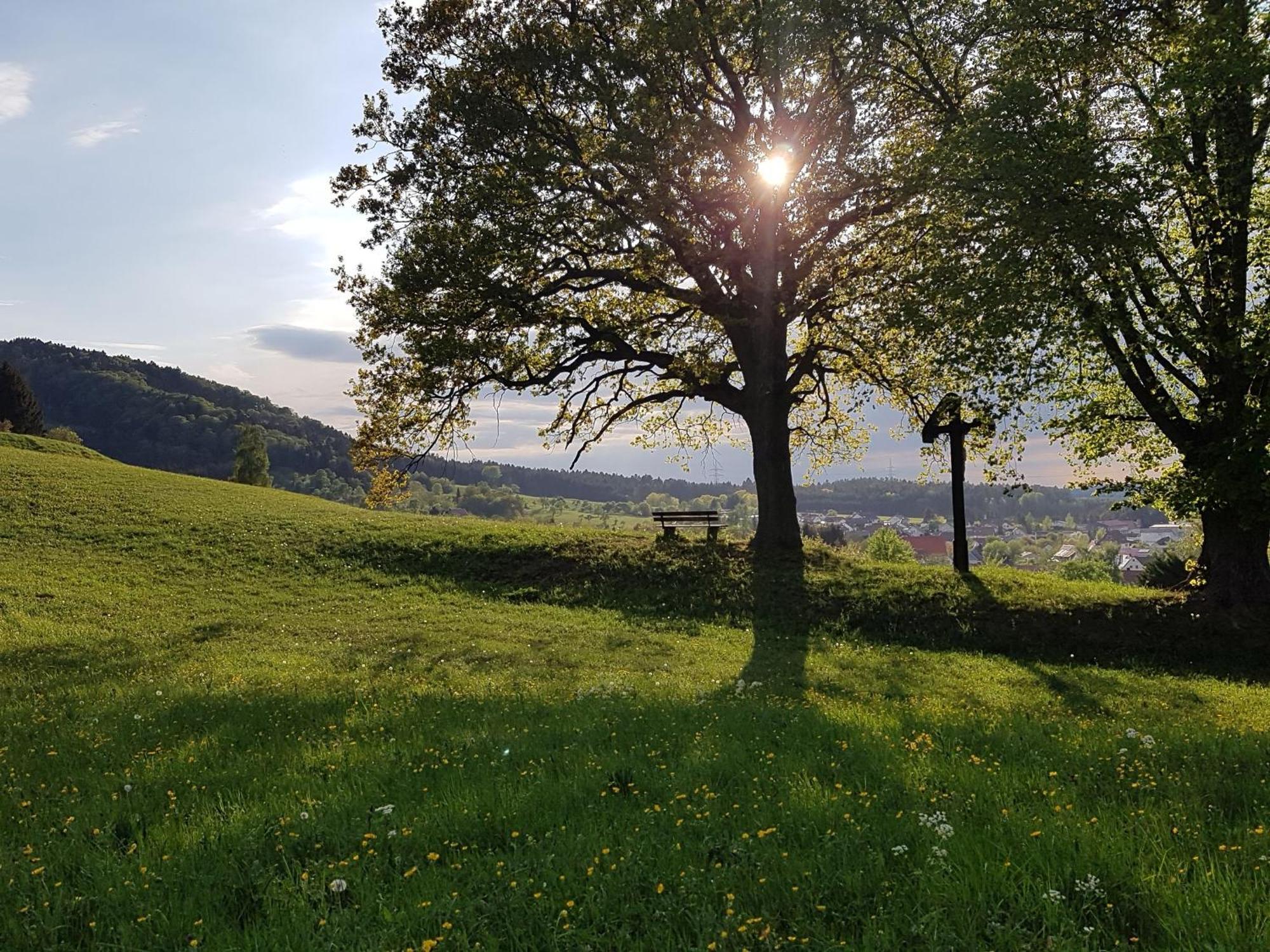 Ferienhaus Rosswangen Balingen Luaran gambar